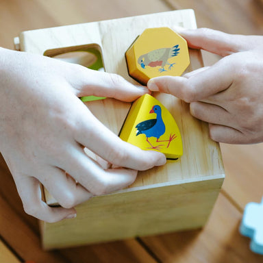 Moana Road NZ Birds Shape Sorter | Koop.co.nz