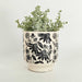 Urban Products Black Flower Planter (12.7cm) | Koop.co.nz