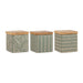 Ladelle Orion Green Canister Set (3pc) | Koop.co.nz