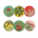 100% New Zealand Native Botanicals Of NZ Coaster Set/6 | Koop.co.nz