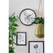 Karlsson Botanical Eucalyptus Wall Clock (26cm) | Koop.co.nz